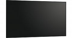 PN-Y556P